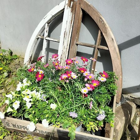 Ferienwohnung Am Schlossberg ゾーリンゲン エクステリア 写真